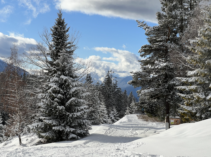 Seefeld inTirol wintersport blauwe pistes kinderen beginners TUI Hotel Alte Schmiede Oostenrijk